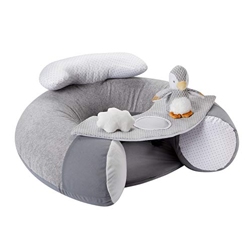 Nuby Penguin Sit-Me-Up Baby Seat - Inflatable Floor Seat with Removable Tray, Washable, Grey